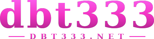 dbt333 logo